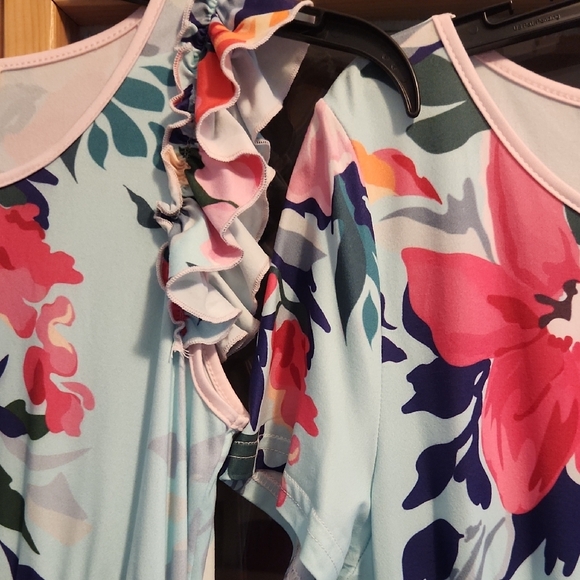 Floral Maxi Dress with Pink and Blue Accents - Picture 6 of 6